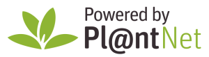 PlantNet